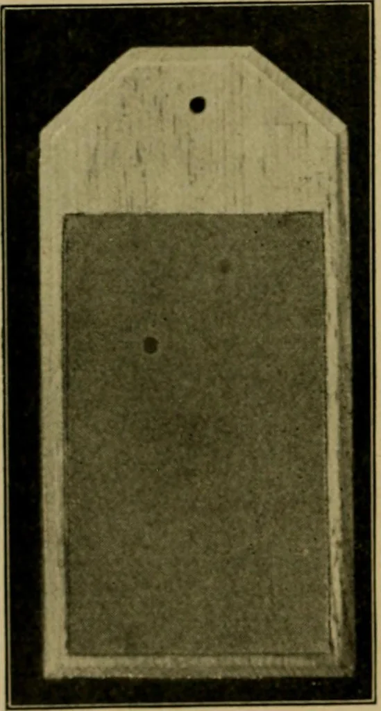 An illustration from Woodwork for the grades, for use in manual training classes; fully illustrated with three hundred half-tone engravings from actual shop practice, and many working drawings of educational shop problems, 1913, leaf 201