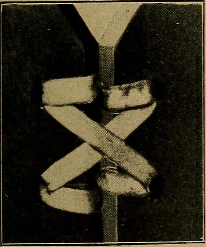 An illustration from Woodwork for the grades, for use in manual training classes; fully illustrated with three hundred half-tone engravings from actual shop practice, and many working drawings of educational shop problems, 1913, leaf 208