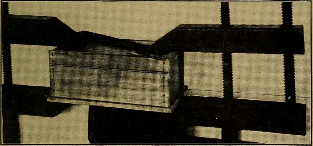 An illustration from Woodwork for the grades, for use in manual training classes; fully illustrated with three hundred half-tone engravings from actual shop practice, and many working drawings of educational shop problems, 1913, leaf 214
