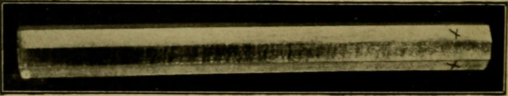 An illustration from Woodwork for the grades, for use in manual training classes; fully illustrated with three hundred half-tone engravings from actual shop practice, and many working drawings of educational shop problems, 1913, leaf 225