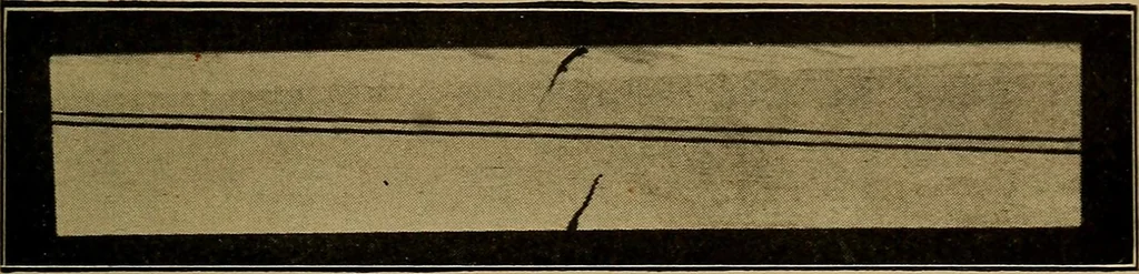 An illustration from Woodwork for the grades, for use in manual training classes; fully illustrated with three hundred half-tone engravings from actual shop practice, and many working drawings of educational shop problems, 1913, leaf 248
