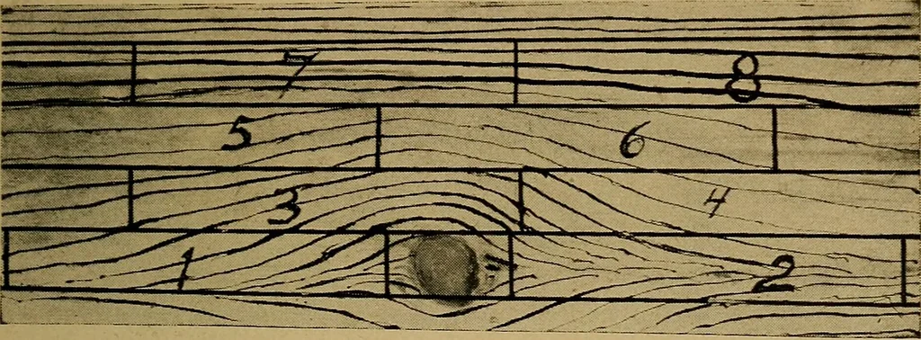 An illustration from Woodwork for the grades, for use in manual training classes; fully illustrated with three hundred half-tone engravings from actual shop practice, and many working drawings of educational shop problems, 1913, leaf 30