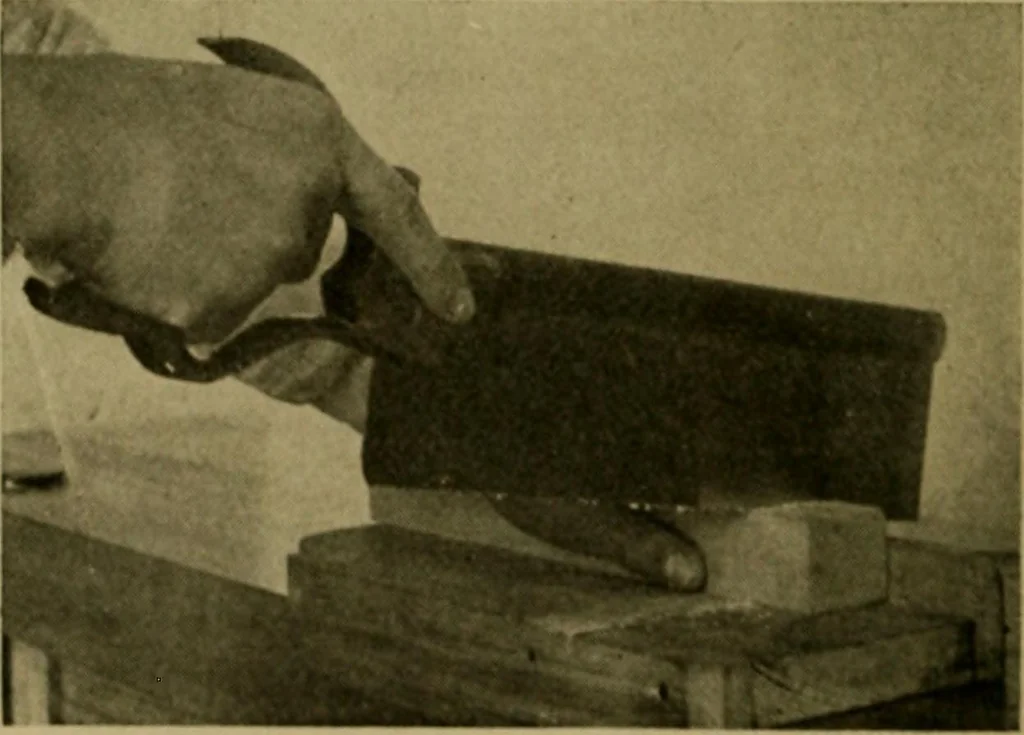 An illustration from Woodwork for the grades, for use in manual training classes; fully illustrated with three hundred half-tone engravings from actual shop practice, and many working drawings of educational shop problems, 1913, leaf 65