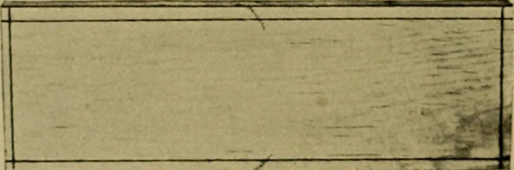 An illustration from Woodwork for the grades, for use in manual training classes; fully illustrated with three hundred half-tone engravings from actual shop practice, and many working drawings of educational shop problems, 1913, leaf 77