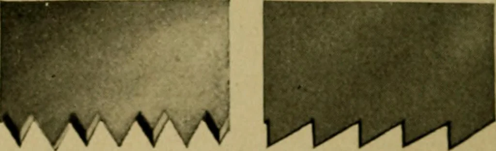 An illustration from Woodwork for the grades, for use in manual training classes; fully illustrated with three hundred half-tone engravings from actual shop practice, and many working drawings of educational shop problems, 1913, leaf 81