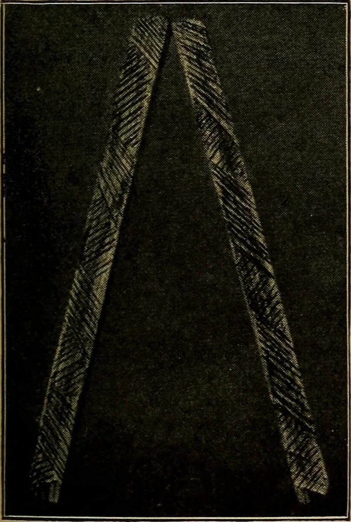 An illustration from Woodwork for the grades, for use in manual training classes; fully illustrated with three hundred half-tone engravings from actual shop practice, and many working drawings of educational shop problems, 1913, leaf 84