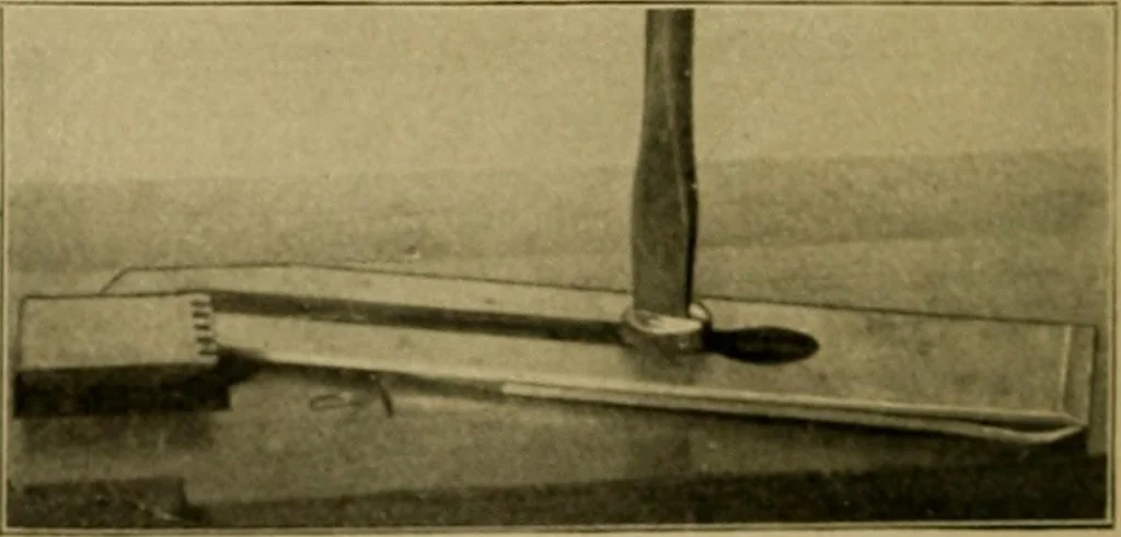 An illustration from Woodwork for the grades, for use in manual training classes; fully illustrated with three hundred half-tone engravings from actual shop practice, and many working drawings of educational shop problems, 1913, leaf 89