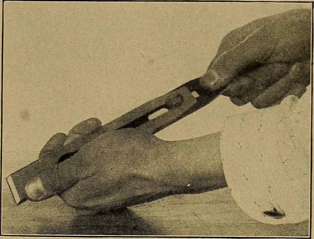 An illustration from Woodwork for the grades, for use in manual training classes; fully illustrated with three hundred half-tone engravings from actual shop practice, and many working drawings of educational shop problems, 1913, leaf 90