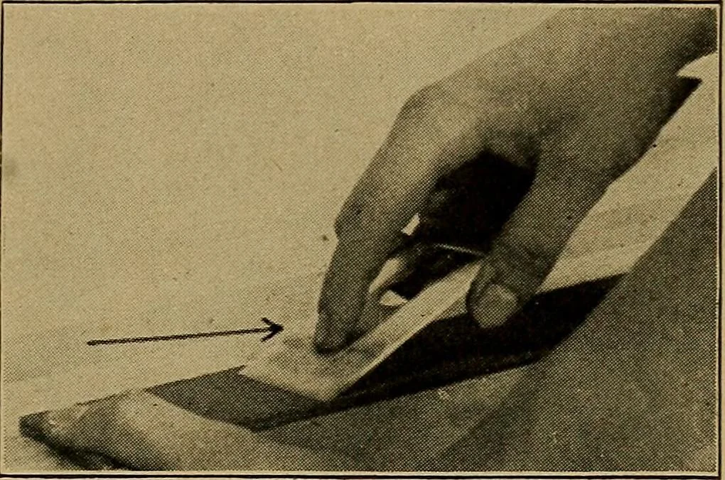 An illustration from Woodwork for the grades, for use in manual training classes; fully illustrated with three hundred half-tone engravings from actual shop practice, and many working drawings of educational shop problems, 1913, leaf 94