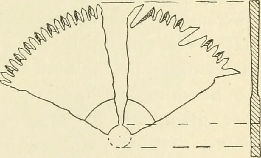 An illustration from Woodwork for secondary schools; a text-book for high schools and colleges, prevocational and elementary industrial schools, 1916, leaf 112