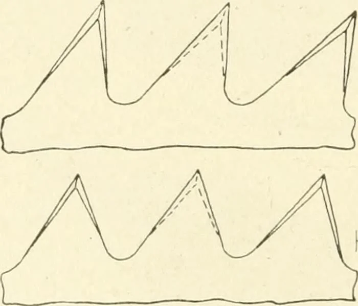 An illustration from Woodwork for secondary schools; a text-book for high schools and colleges, prevocational and elementary industrial schools, 1916, leaf 115