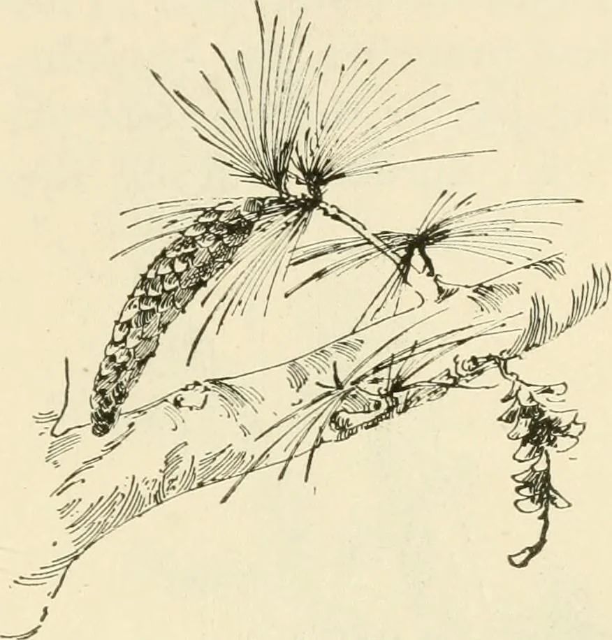 An illustration from Woodwork for secondary schools; a text-book for high schools and colleges, prevocational and elementary industrial schools, 1916, leaf 18