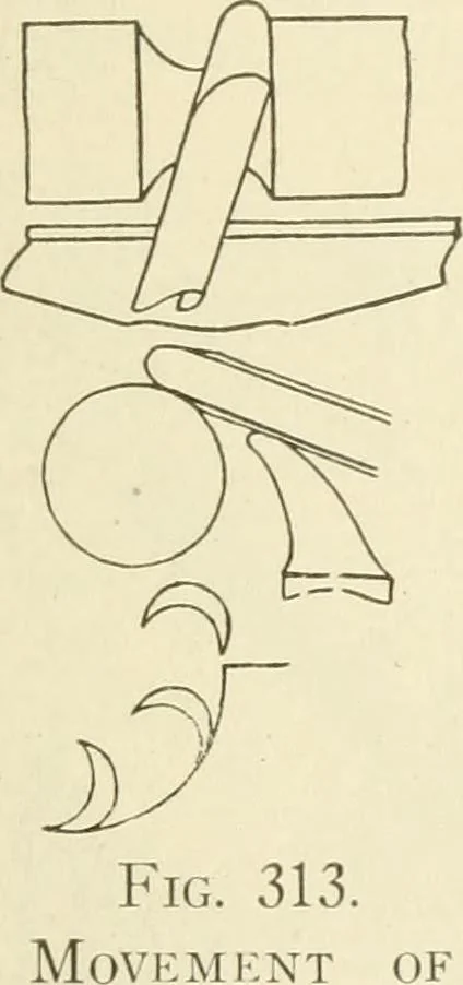 An illustration from Woodwork for secondary schools; a text-book for high schools and colleges, prevocational and elementary industrial schools, 1916, leaf 206