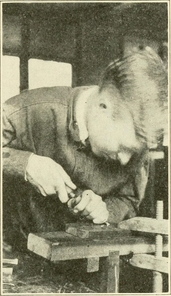 An illustration from Woodwork for secondary schools; a text-book for high schools and colleges, prevocational and elementary industrial schools, 1916, leaf 230