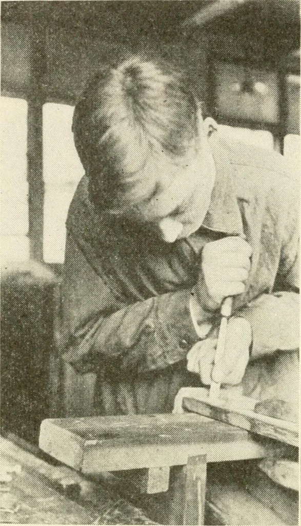 An illustration from Woodwork for secondary schools; a text-book for high schools and colleges, prevocational and elementary industrial schools, 1916, leaf 231