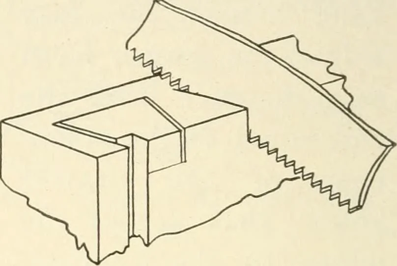 An illustration from Woodwork for secondary schools; a text-book for high schools and colleges, prevocational and elementary industrial schools, 1916, leaf 295