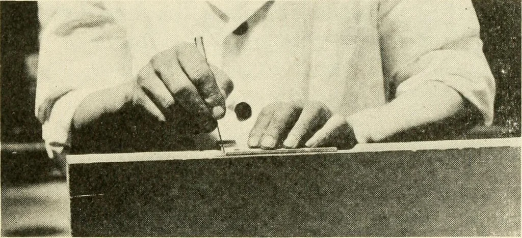 An illustration from Woodwork for secondary schools; a text-book for high schools and colleges, prevocational and elementary industrial schools, 1916, leaf 302