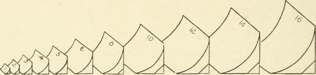 An illustration from Woodwork for secondary schools; a text-book for high schools and colleges, prevocational and elementary industrial schools, 1916, leaf 339