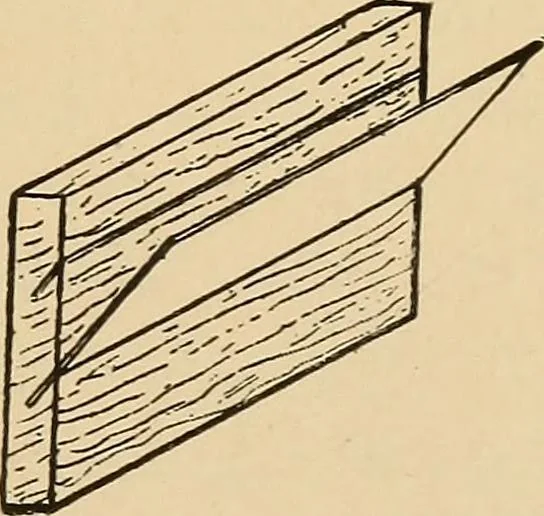An illustration from Woodworking for beginners; a manual for amateurs, 1900, leaf 100