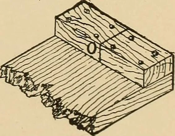 An illustration from Woodworking for beginners; a manual for amateurs, 1900, leaf 102