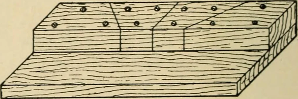An illustration from Woodworking for beginners; a manual for amateurs, 1900, leaf 107