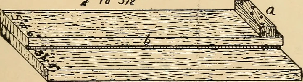 An illustration from Woodworking for beginners; a manual for amateurs, 1900, leaf 108