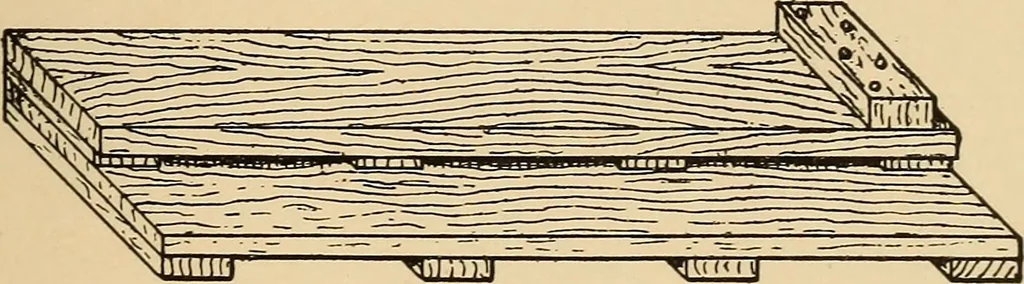 An illustration from Woodworking for beginners; a manual for amateurs, 1900, leaf 108