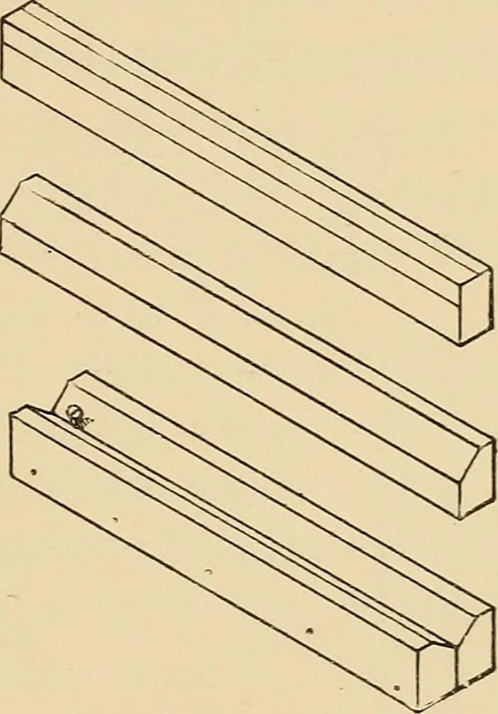 An illustration from Woodworking for beginners; a manual for amateurs, 1900, leaf 110