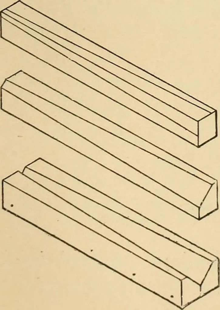 An illustration from Woodworking for beginners; a manual for amateurs, 1900, leaf 110