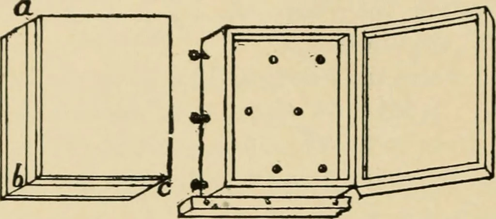 An illustration from Woodworking for beginners; a manual for amateurs, 1900, leaf 115