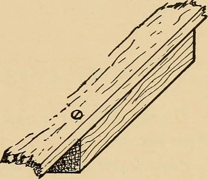 An illustration from Woodworking for beginners; a manual for amateurs, 1900, leaf 116