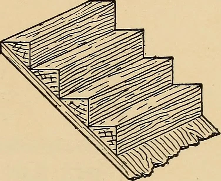 An illustration from Woodworking for beginners; a manual for amateurs, 1900, leaf 138