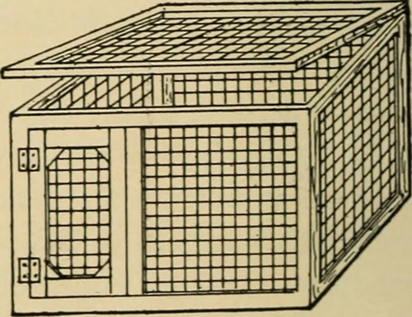 An illustration from Woodworking for beginners; a manual for amateurs, 1900, leaf 143