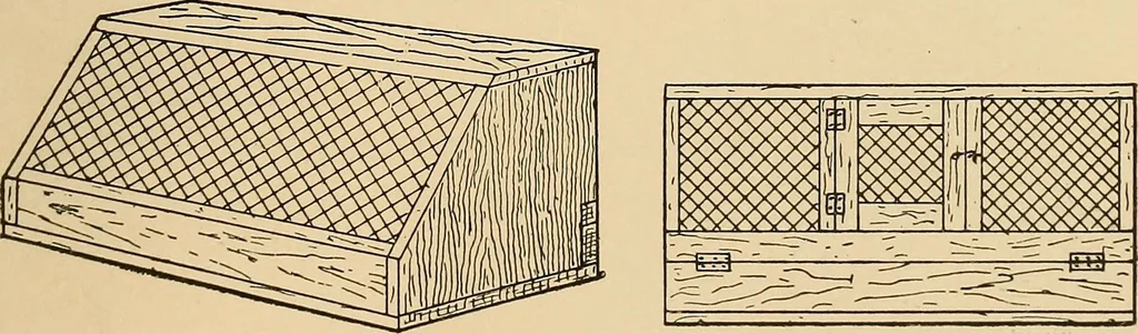 An illustration from Woodworking for beginners; a manual for amateurs, 1900, leaf 144