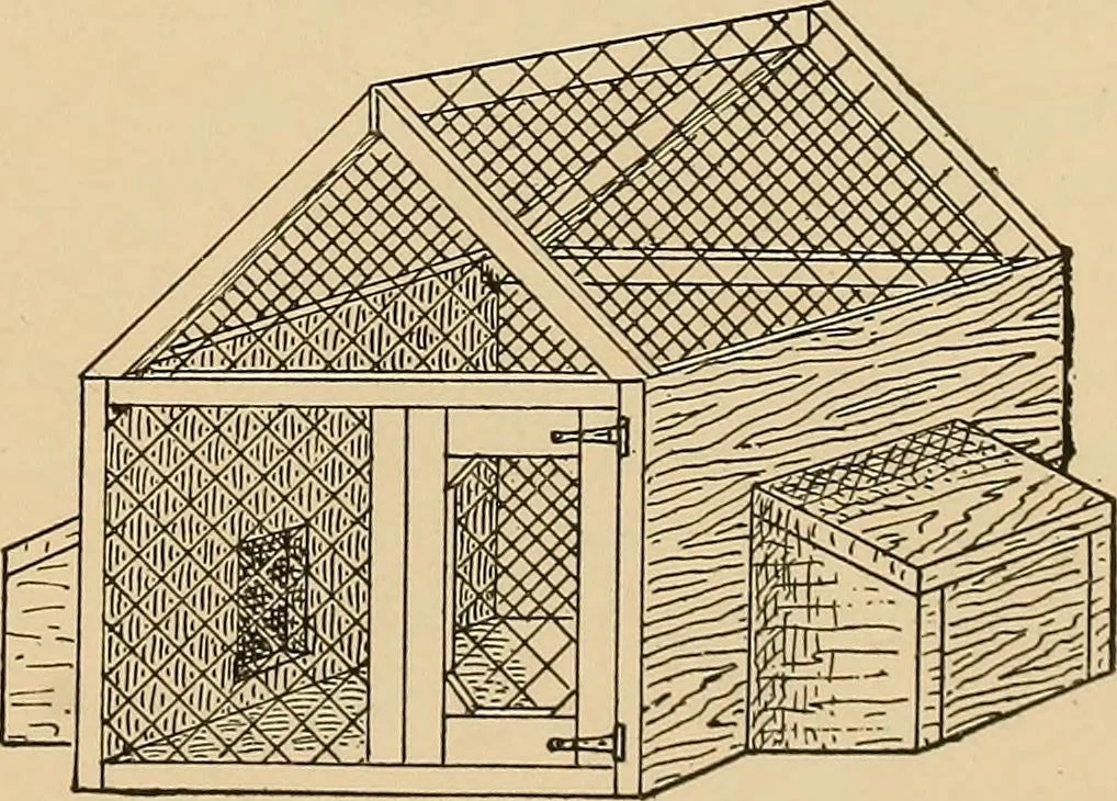 An illustration from Woodworking for beginners; a manual for amateurs, 1900, leaf 146