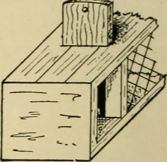 An illustration from Woodworking for beginners; a manual for amateurs, 1900, leaf 147