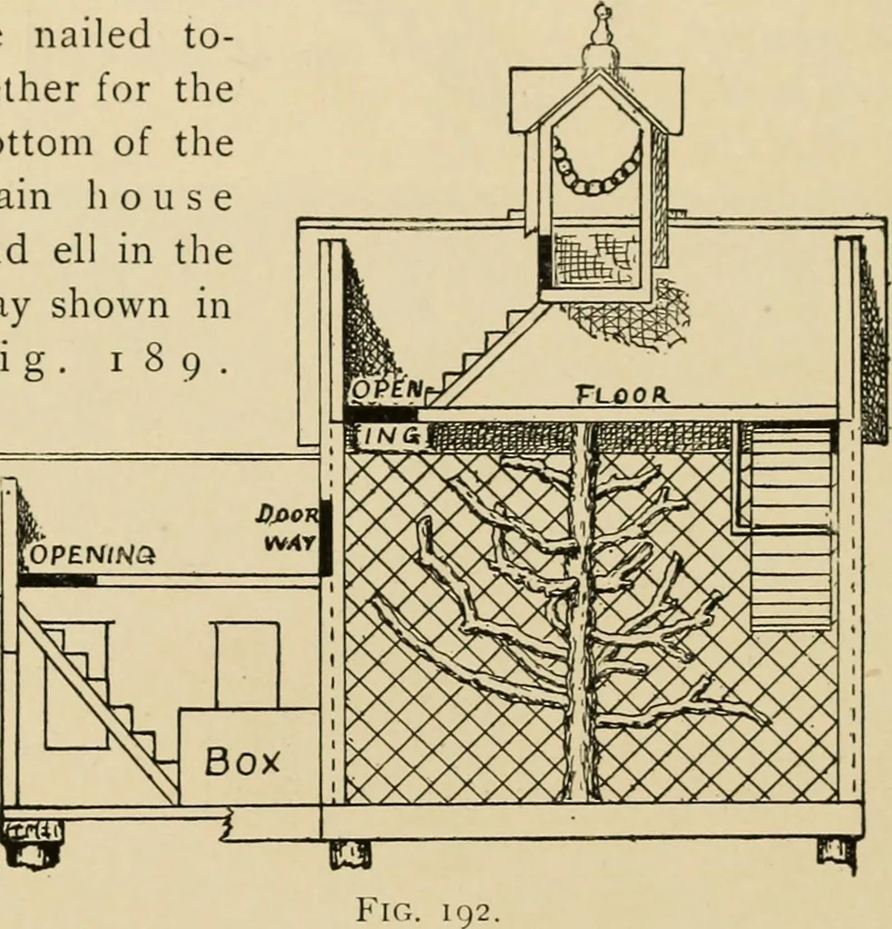 An illustration from Woodworking for beginners; a manual for amateurs, 1900, leaf 153