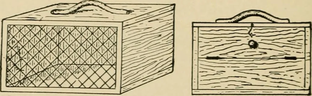 An illustration from Woodworking for beginners; a manual for amateurs, 1900, leaf 155