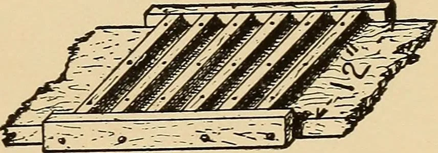 An illustration from Woodworking for beginners; a manual for amateurs, 1900, leaf 158