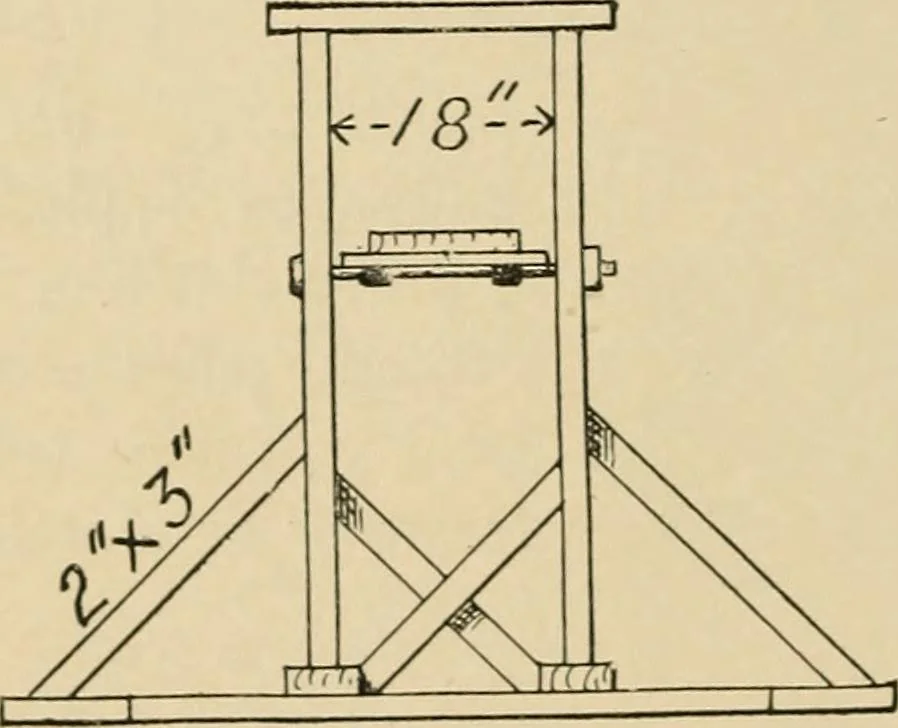 An illustration from Woodworking for beginners; a manual for amateurs, 1900, leaf 159