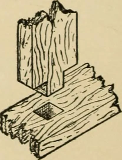 An illustration from Woodworking for beginners; a manual for amateurs, 1900, leaf 159
