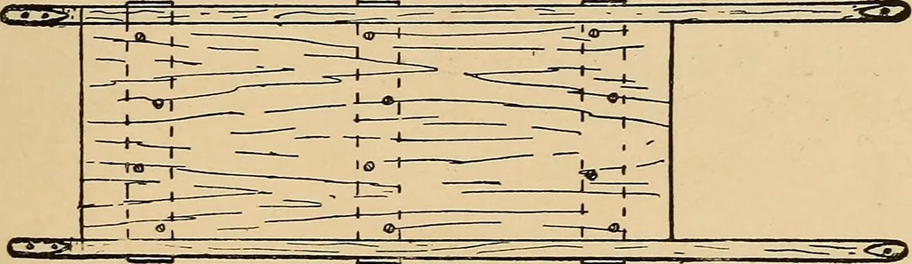 An illustration from Woodworking for beginners; a manual for amateurs, 1900, leaf 170