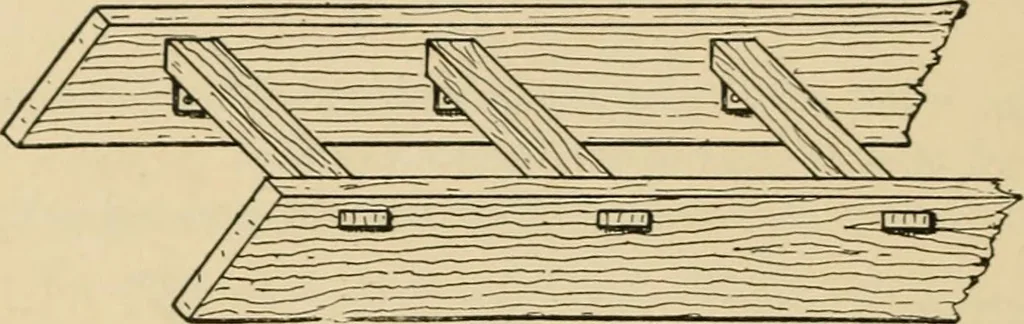 An illustration from Woodworking for beginners; a manual for amateurs, 1900, leaf 171