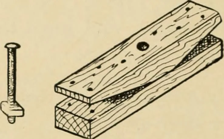An illustration from Woodworking for beginners; a manual for amateurs, 1900, leaf 173