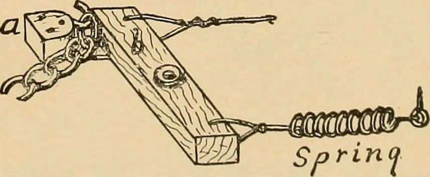An illustration from Woodworking for beginners; a manual for amateurs, 1900, leaf 176
