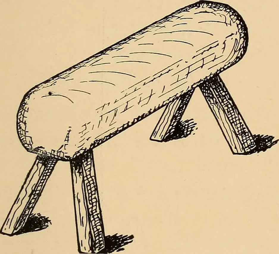 An illustration from Woodworking for beginners; a manual for amateurs, 1900, leaf 186