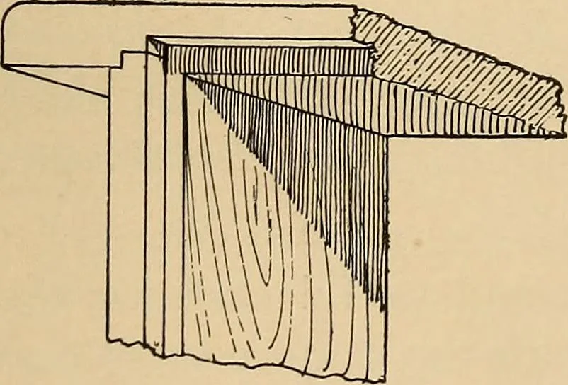 An illustration from Woodworking for beginners; a manual for amateurs, 1900, leaf 200