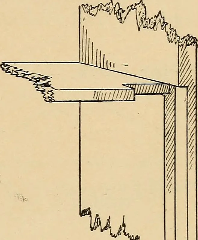 An illustration from Woodworking for beginners; a manual for amateurs, 1900, leaf 202