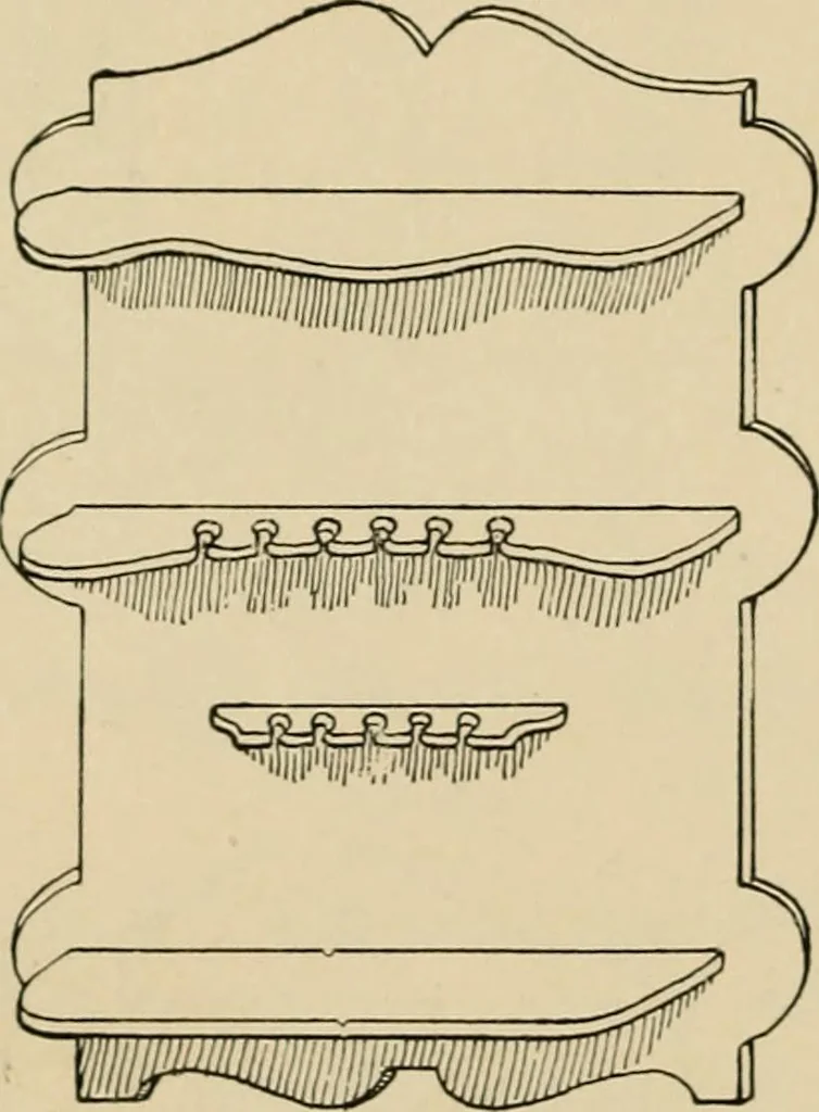 An illustration from Woodworking for beginners; a manual for amateurs, 1900, leaf 203