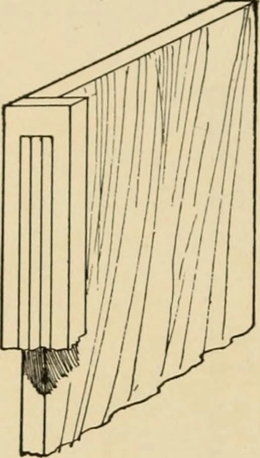 An illustration from Woodworking for beginners; a manual for amateurs, 1900, leaf 213